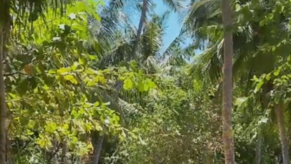 Anastasija Ražnatović