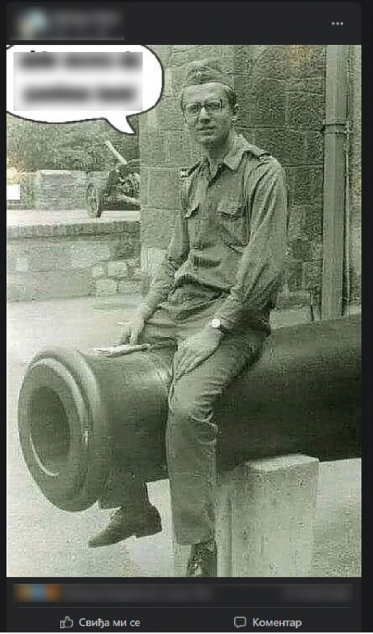 Vojislav &Scaron;e&scaron;elj