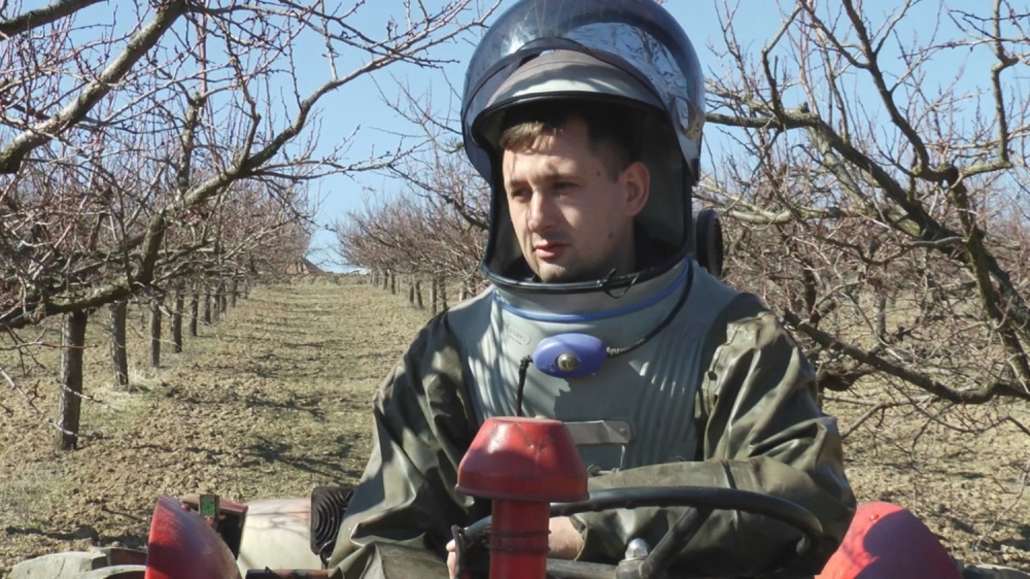 Poljoprivreda, pupoljak