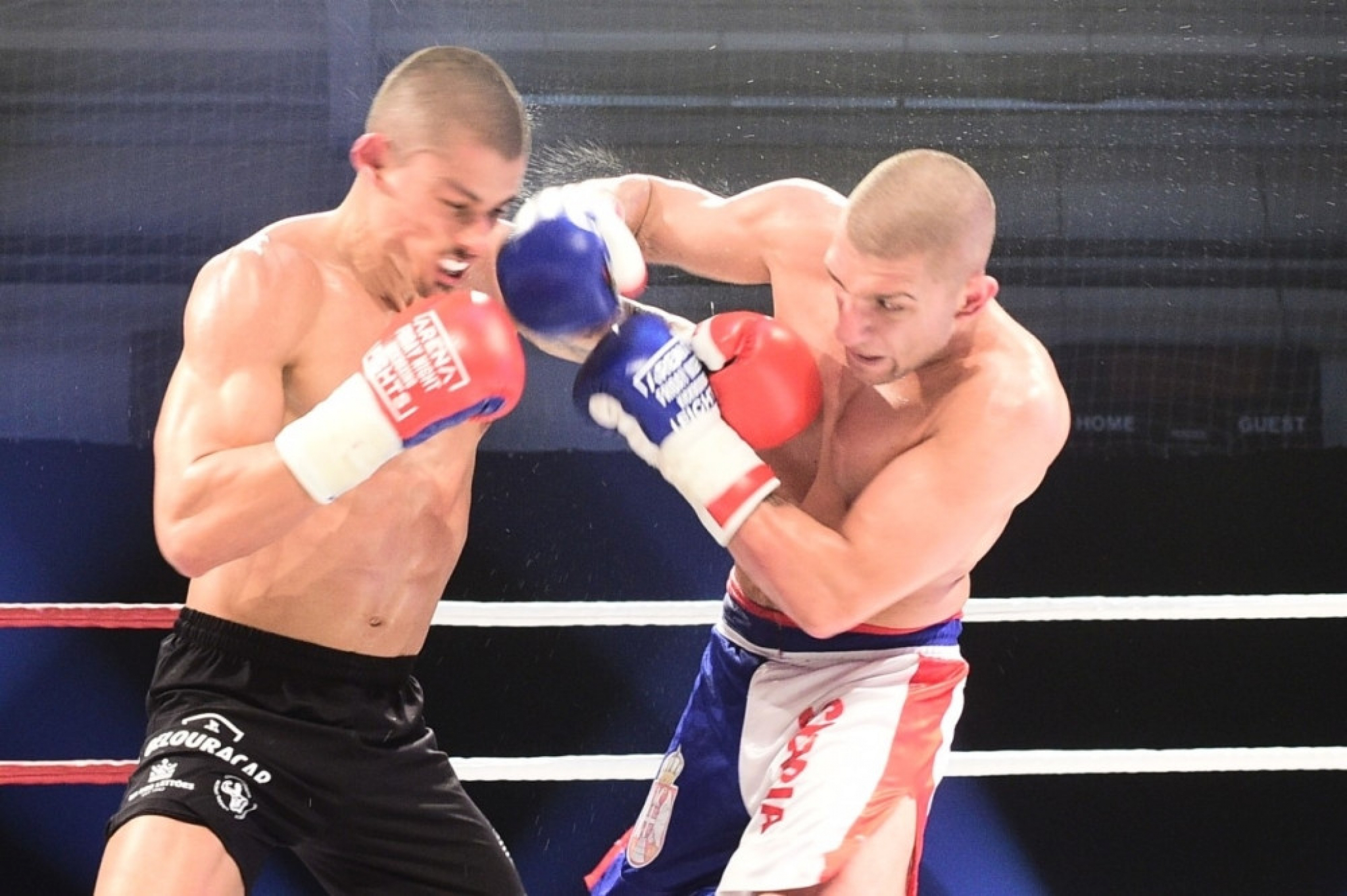Aleksandar Konovalov kik boks