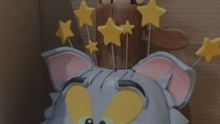 Rođendan Aleksandra Živojinovića