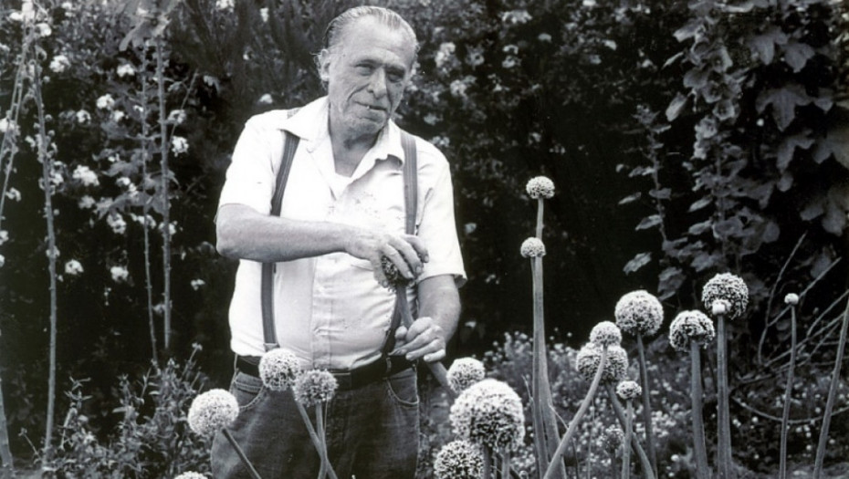 Charles Bukowski, Čarls Bukovski, pisac