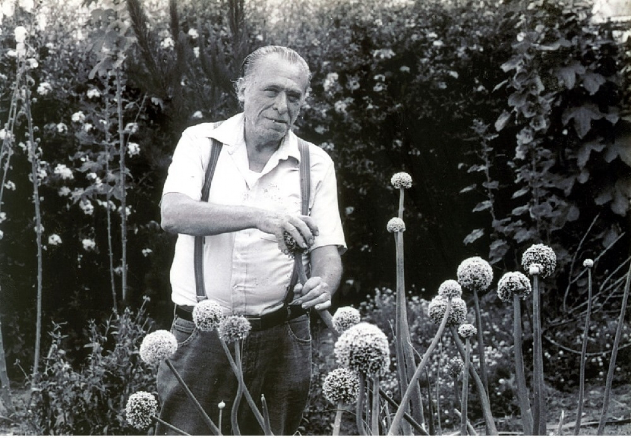 Charles Bukowski, Čarls Bukovski, pisac