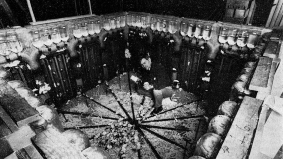 miševi, eksperiment