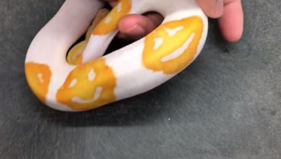 zmija, piton, smajli