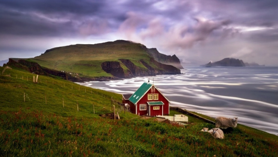 Farska Ostrva, priroda, pingvini