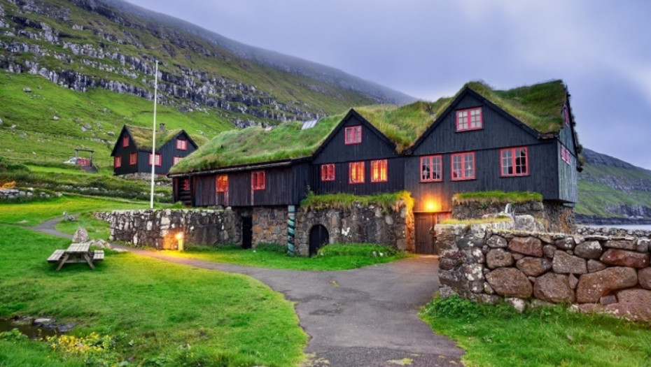 Farska Ostrva, priroda, pingvini