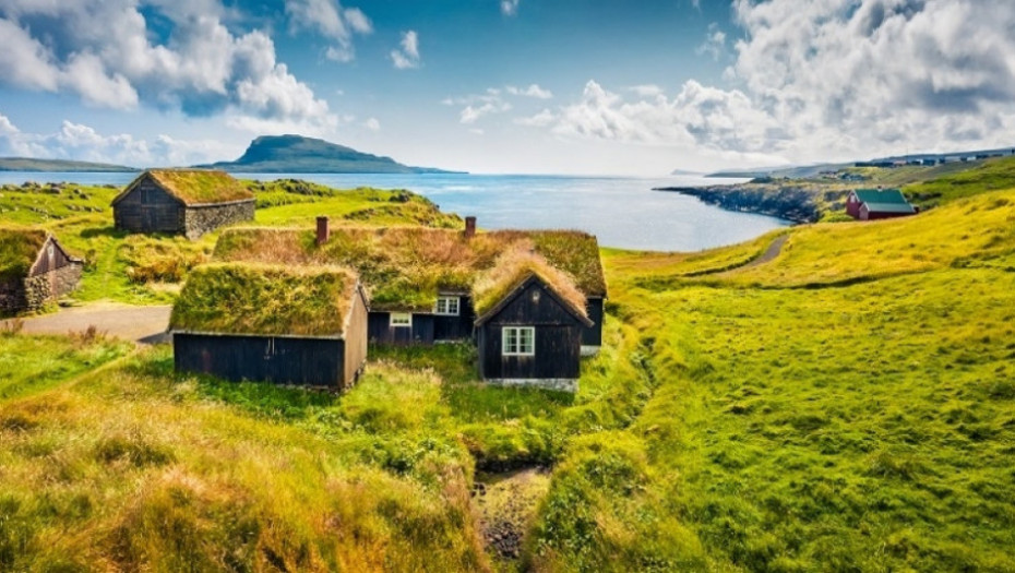 Farska Ostrva, priroda, pingvini