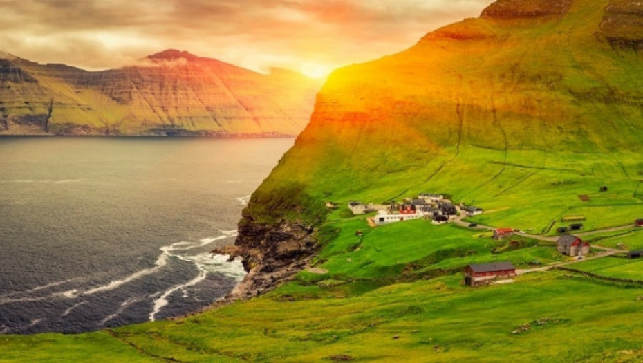 Farska Ostrva, priroda, pingvini