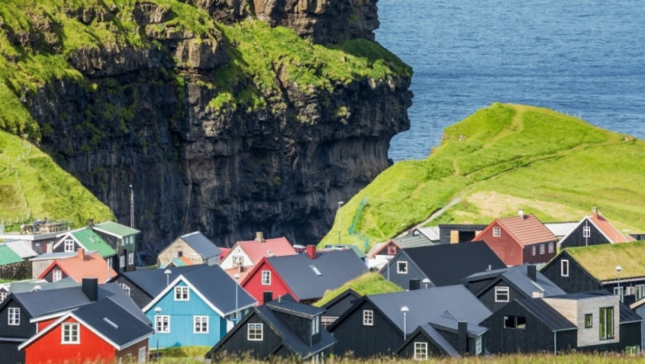 Farska Ostrva, priroda, pingvini