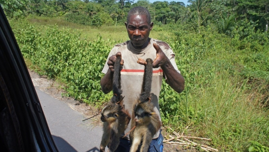 trgovina, trgovina životinja, životinje, kavez