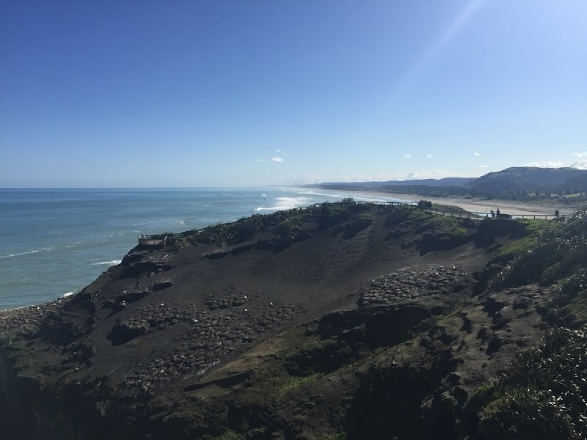 Plaža Murivai, Novi Zeland