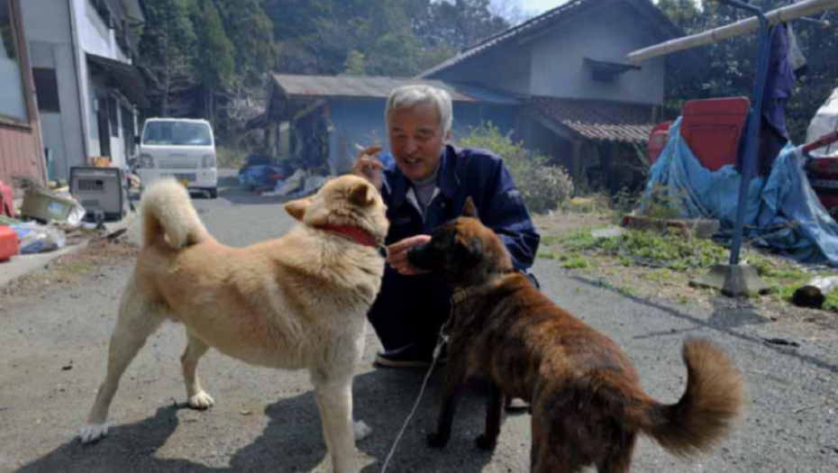 fokušima, nuklearna katastrofa, japan