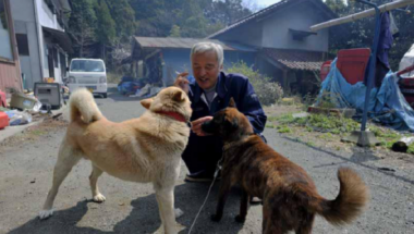 fokušima, nuklearna katastrofa, japan