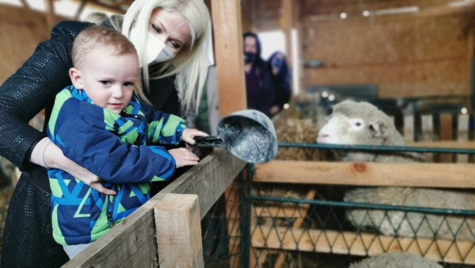 Dimitrijevići imaju farmu francuskih ovaca