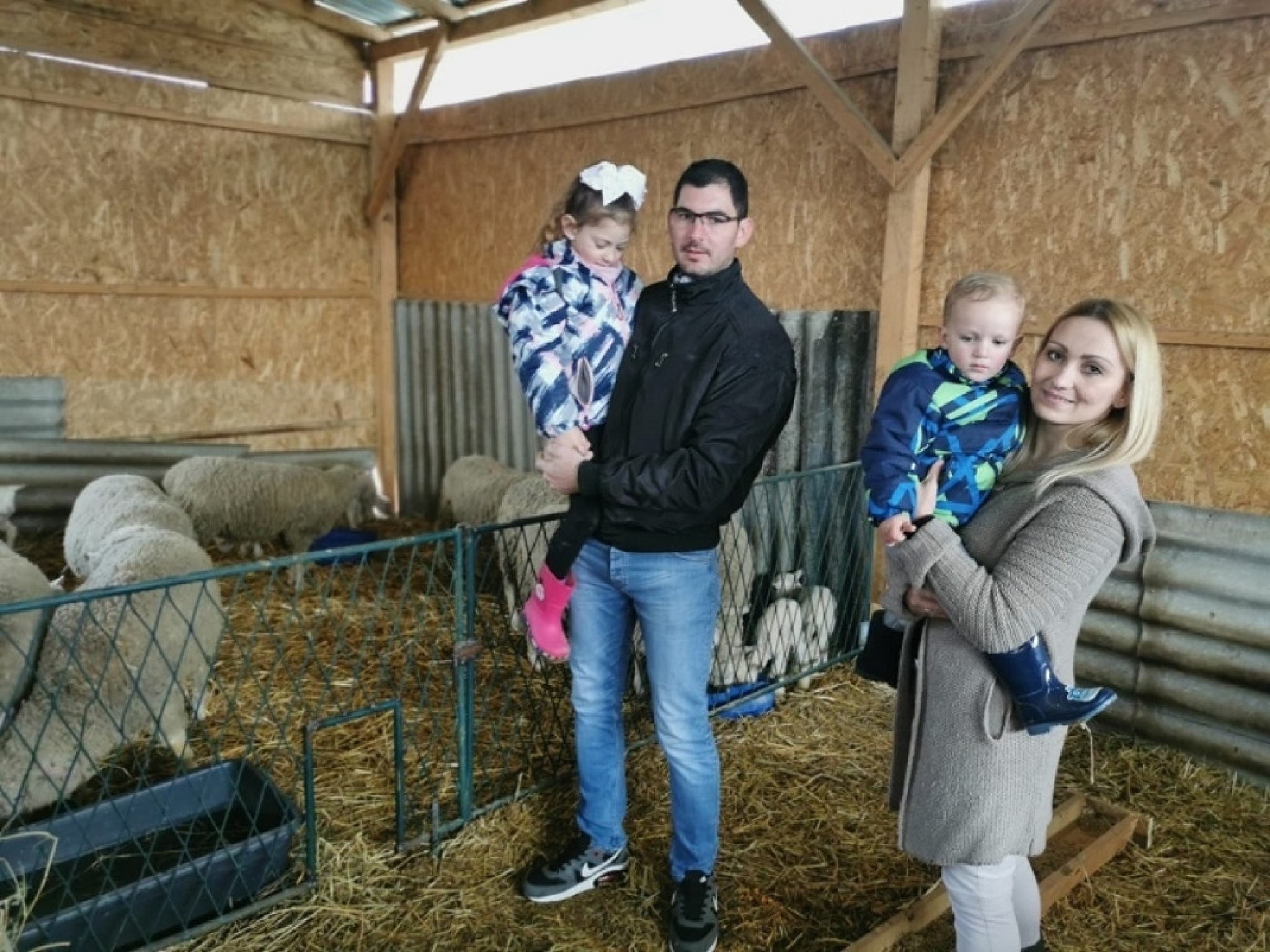 Dimitrijevići imaju farmu francuskih ovaca