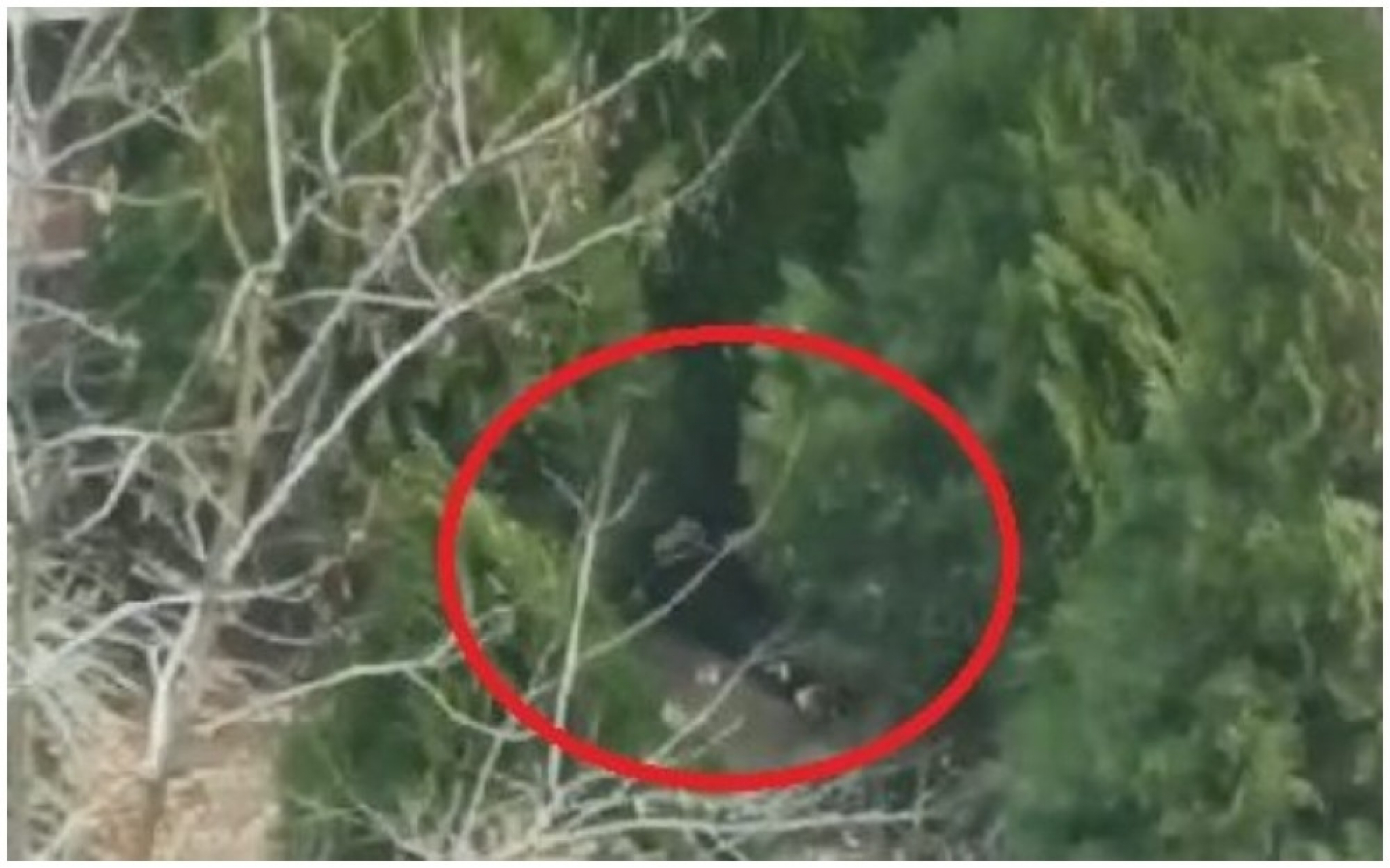 Manijak se samozadovoljava kod dečjeg igrališta