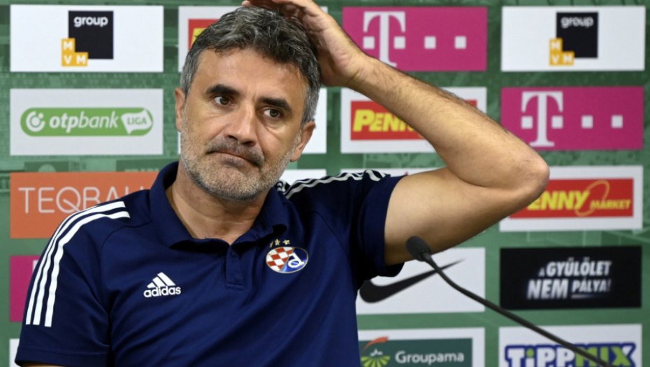 Zoran Mamić (Dinamo)