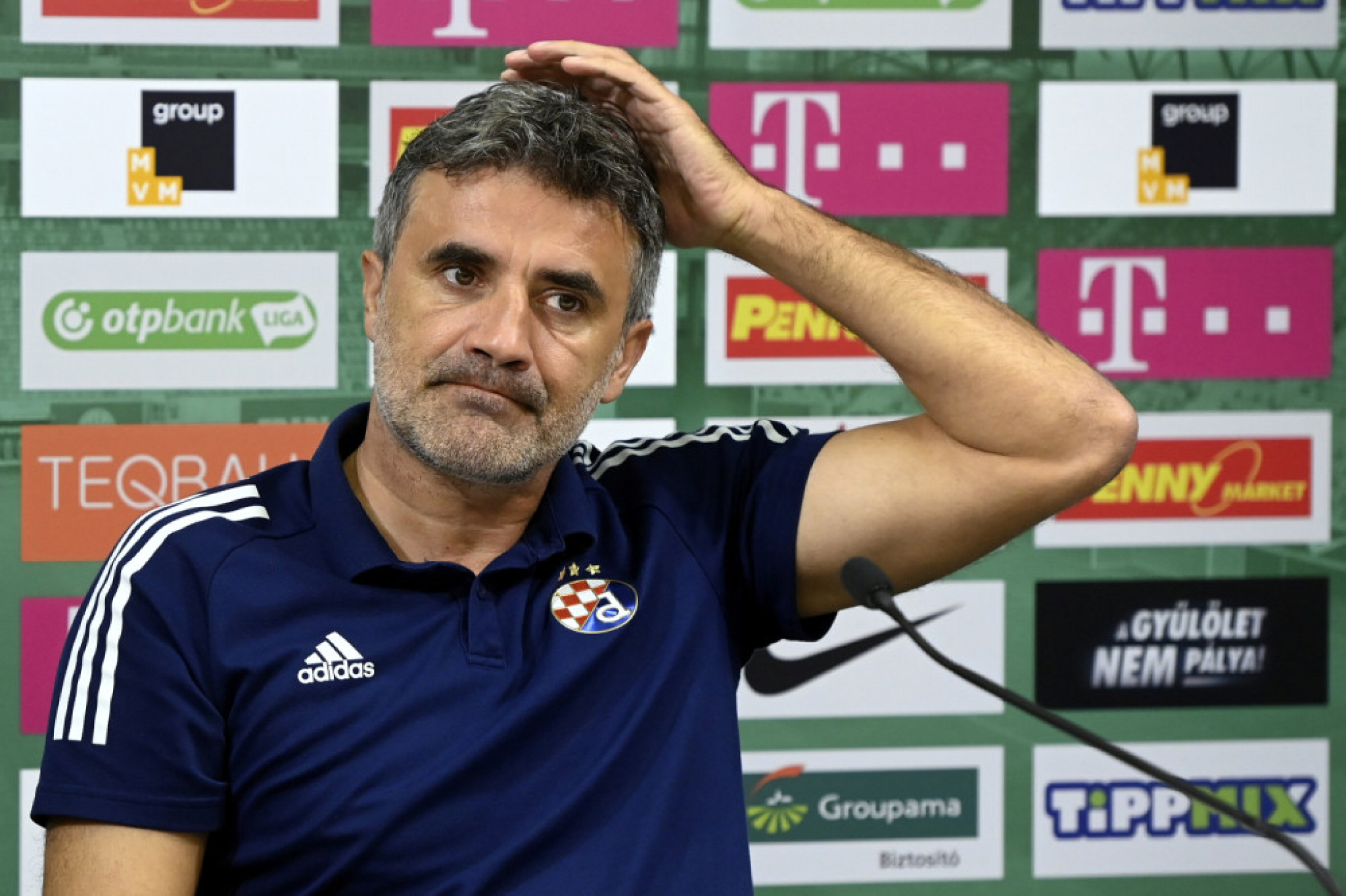 Zoran Mamić (Dinamo)