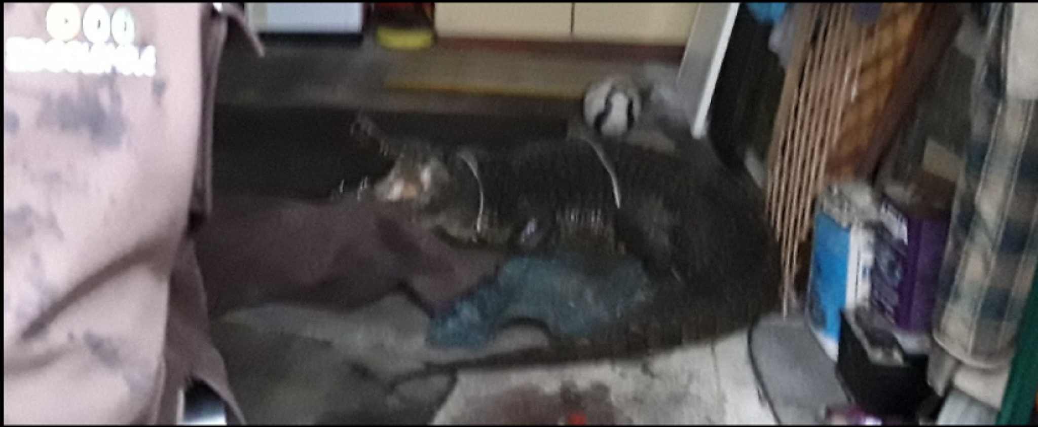 krokodil, česka, požar