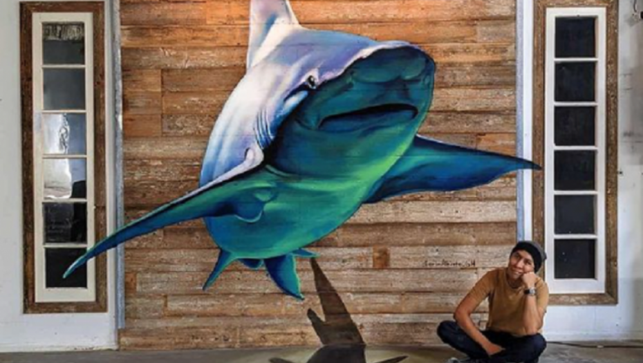 umetnik, 3d slika, grafiti, slike