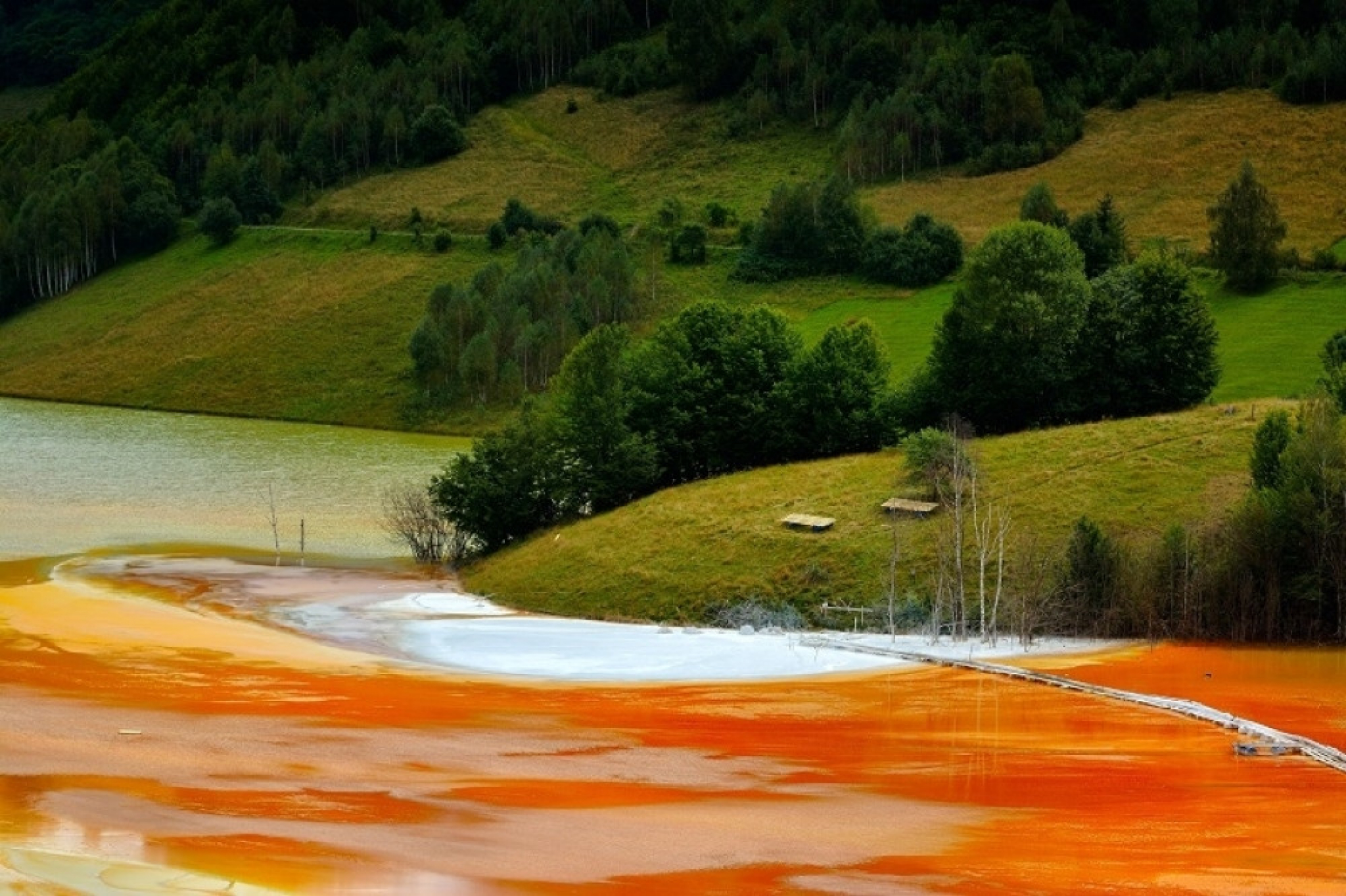 đemana, toksično jezero, rumunija