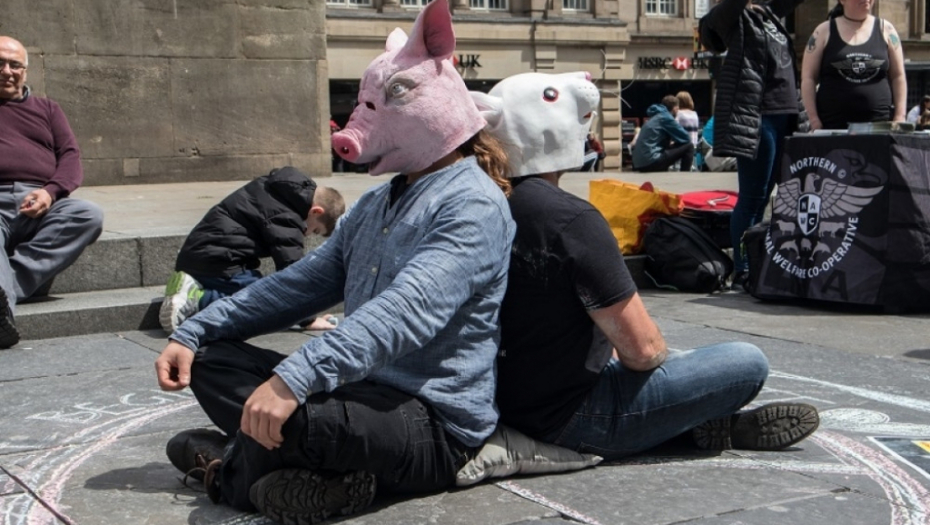 protesti, velika britanija, zaštita životinja