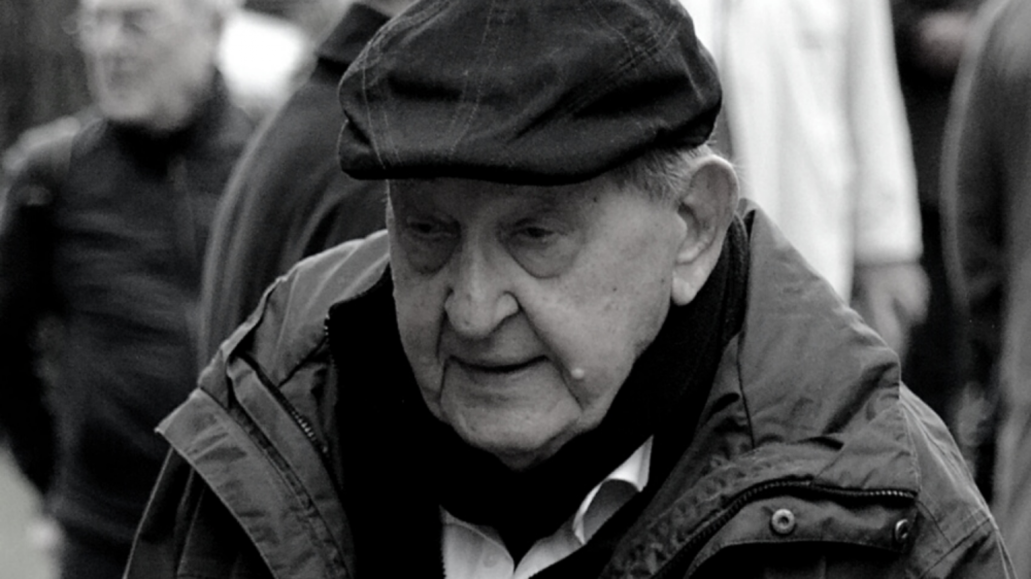 Vlasta Velisavljević