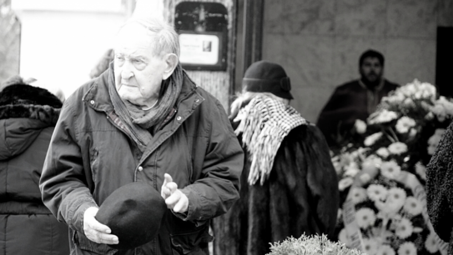 Vlasta Velisavljević