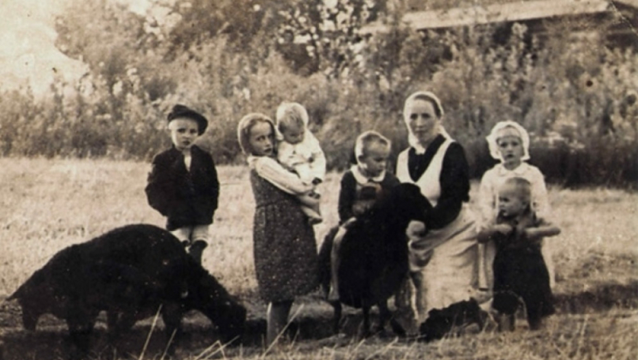 porodica ulma, poljaci