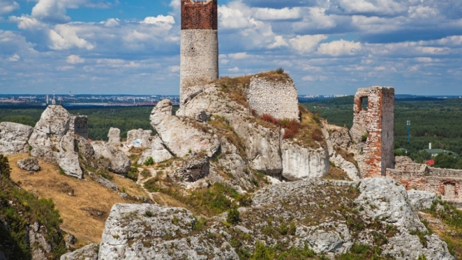 Olštin , češka, poljska, dvorac, istorija