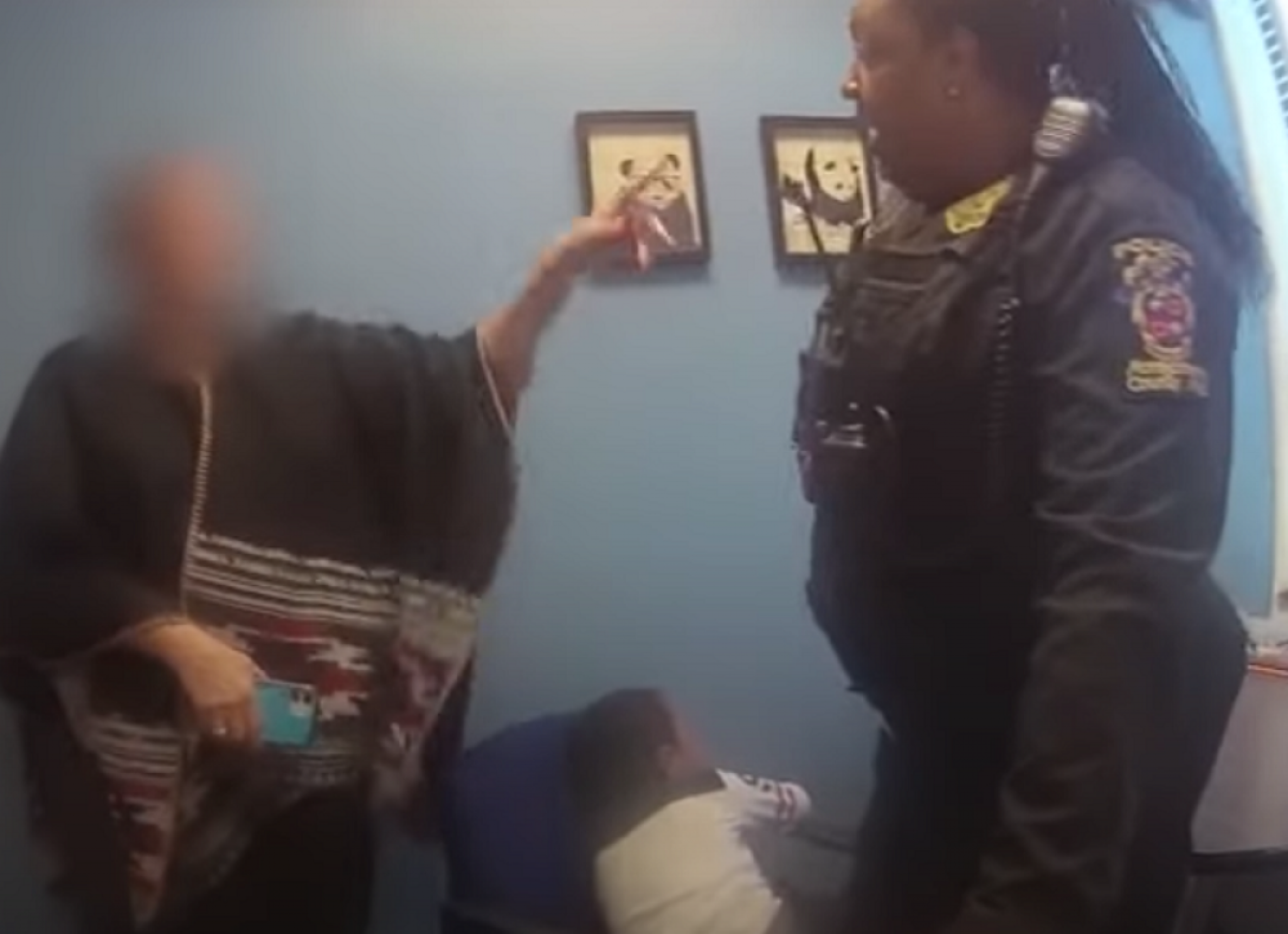 policija, intervencija