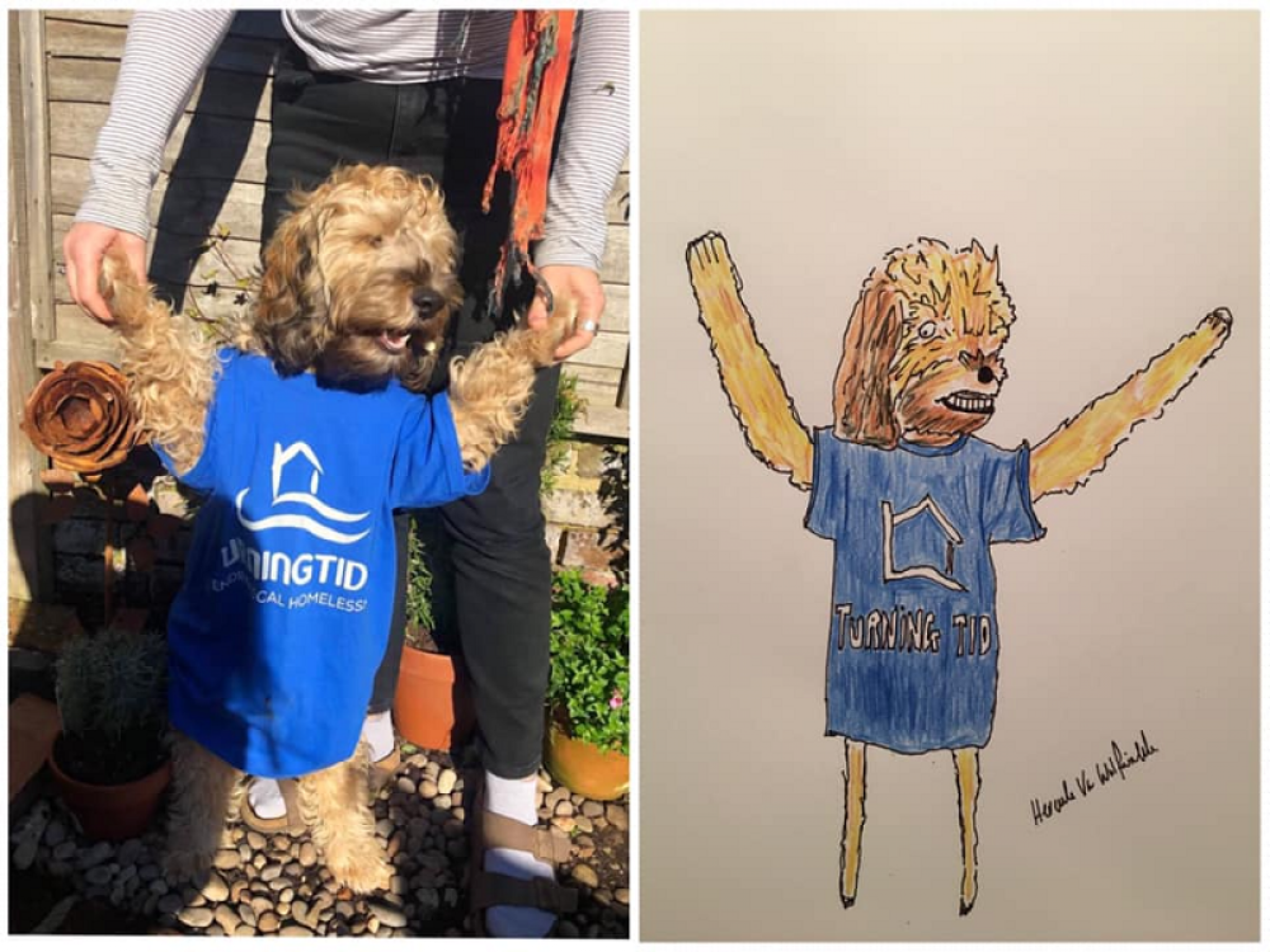 umetnost, crtež, pas, kućni ljubimac