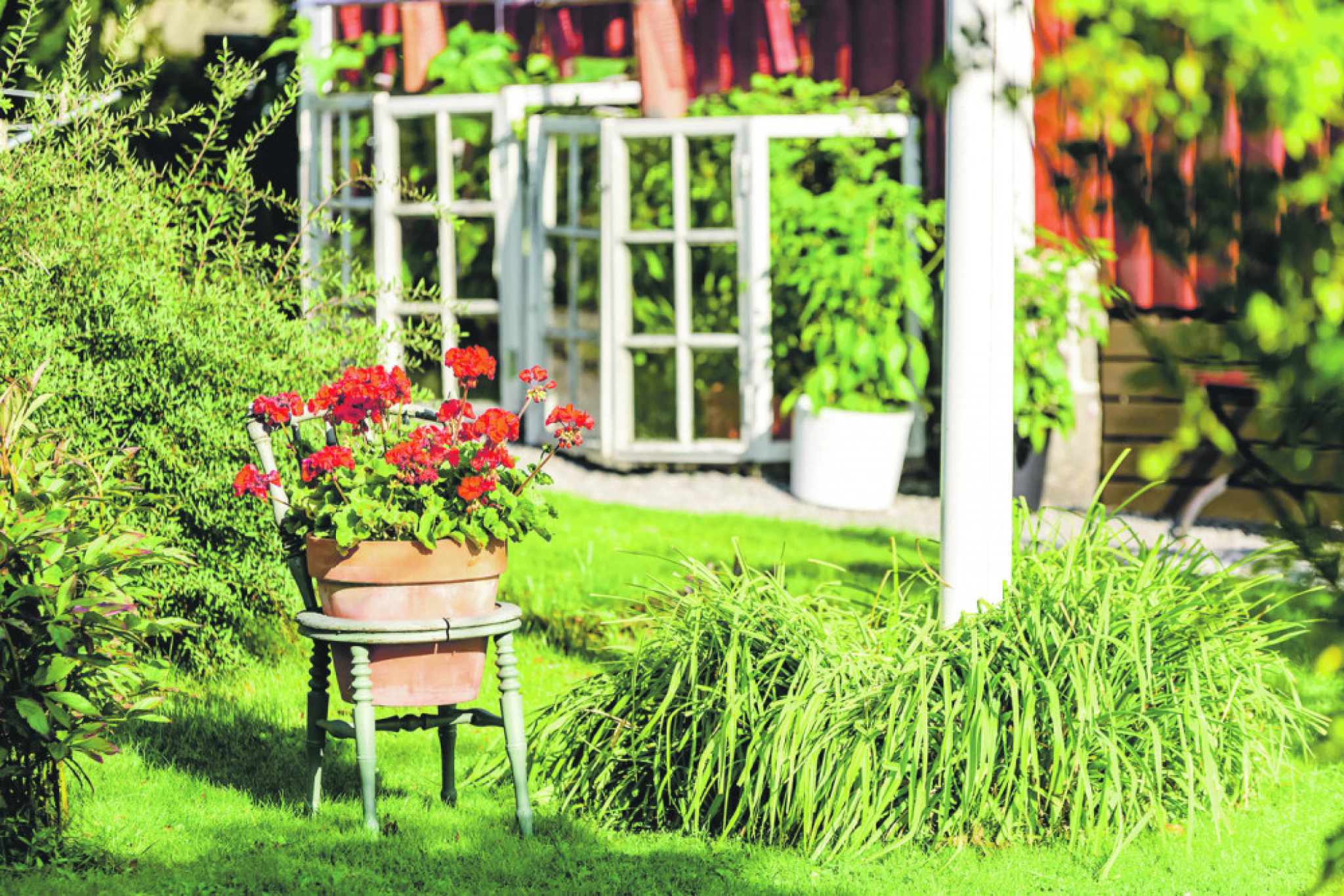 Malo boje, mnogo živosti