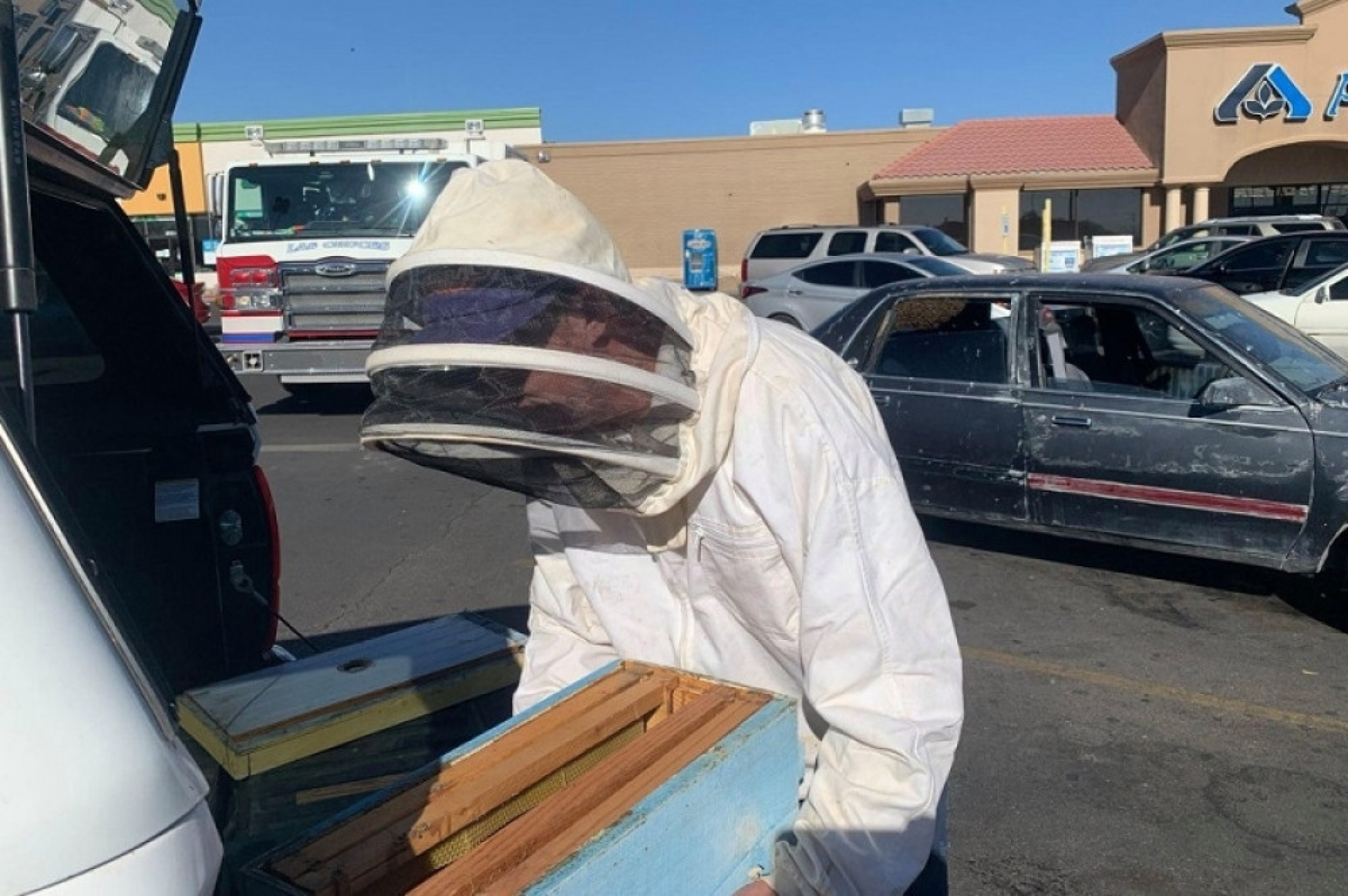 pčelar, vatrogasac, roj pčela