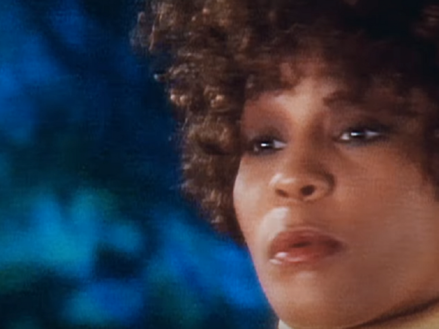 NA DANAŠNJI DAN ROĐENA JE VITNI HJUSTON! Važi za jednu od najvećih pevačica svih vremena, a život joj je bio prepun tragedija!