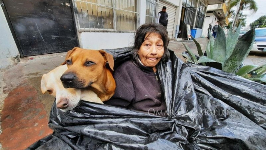 beskućnik, čovek i psi