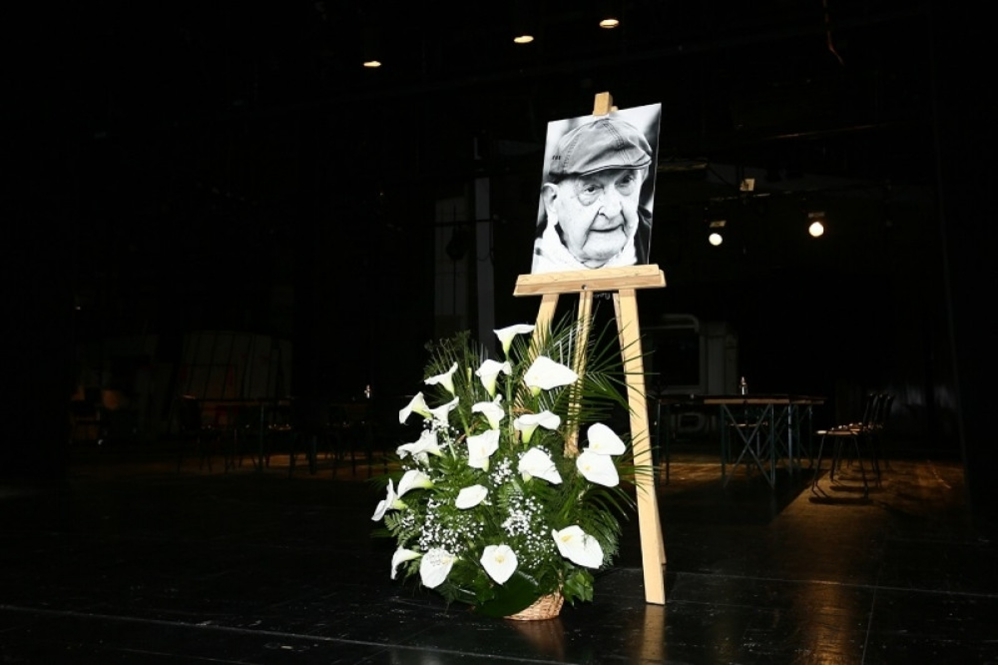 Vlasta Velisavljević