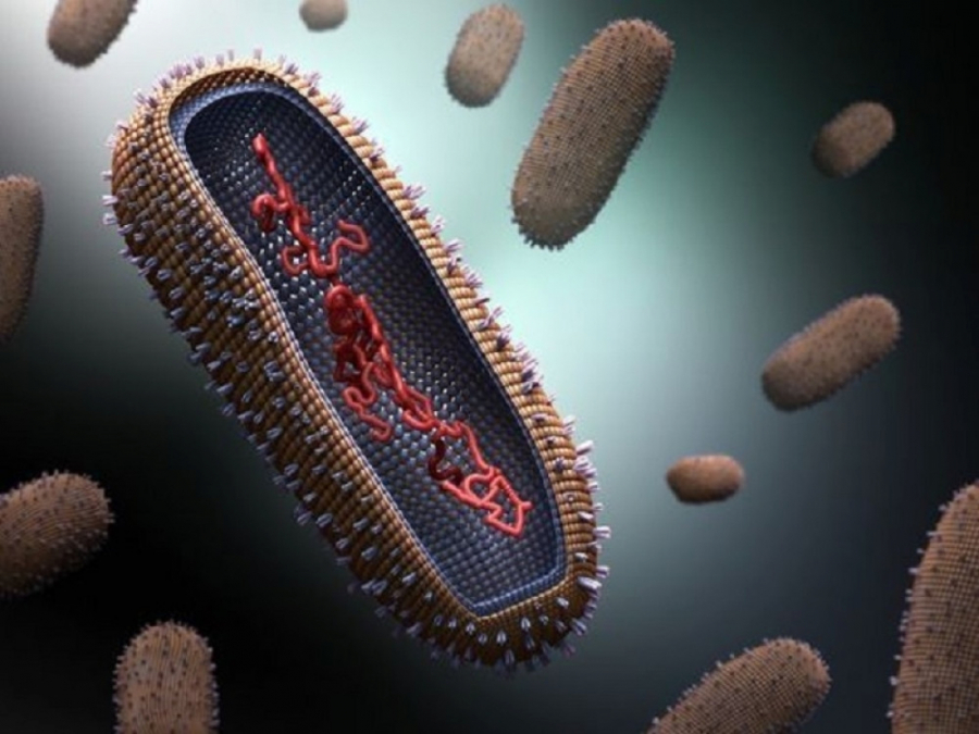 NAJNOVIJE VIDEO OBRAĆANJE Bil Gejts je objavio pet činjenica o novim mutacijama, koje želi da znate