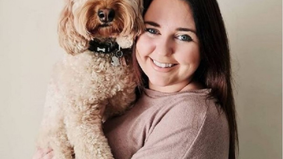 pas, kućni ljubimac