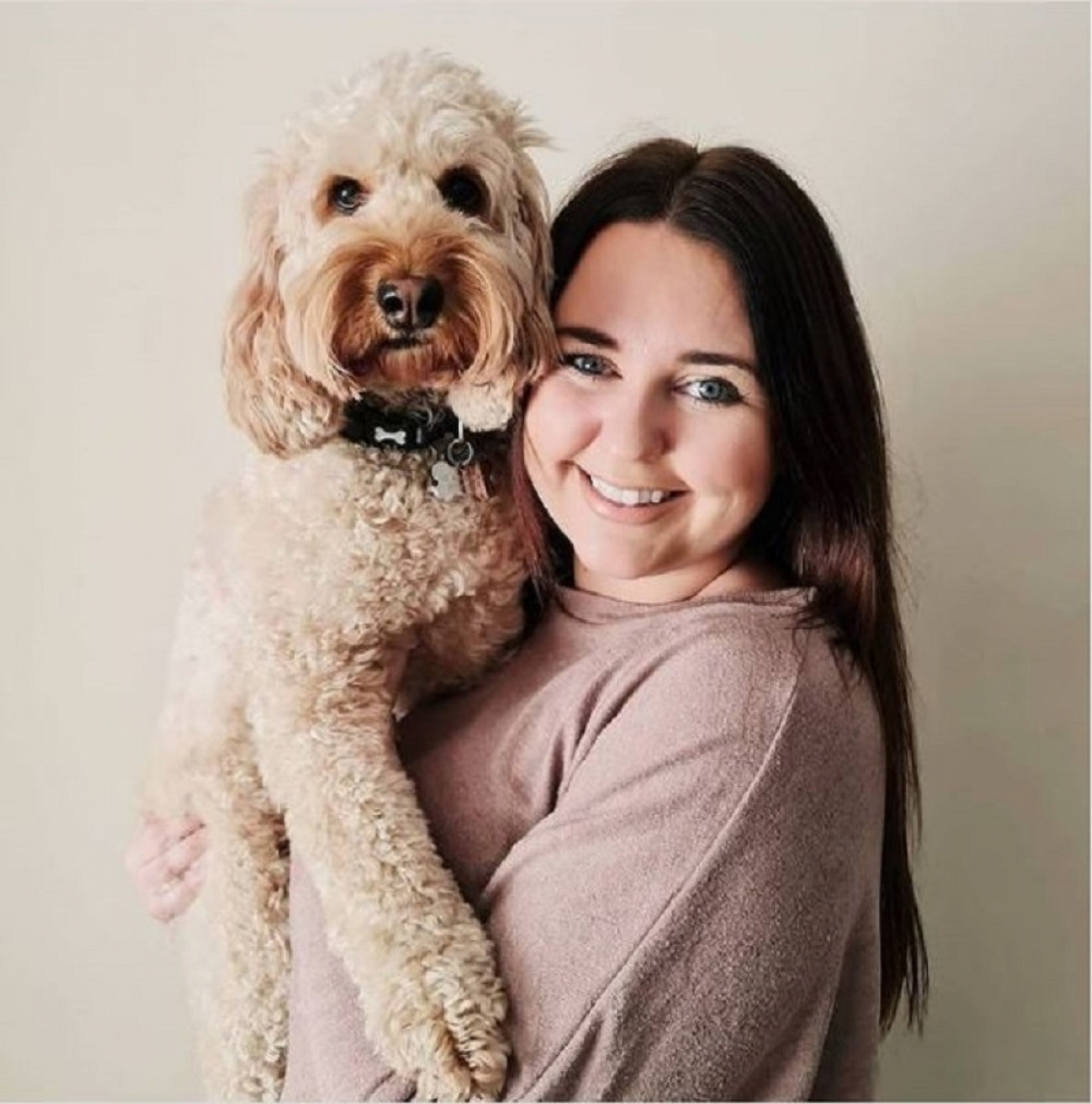 pas, kućni ljubimac