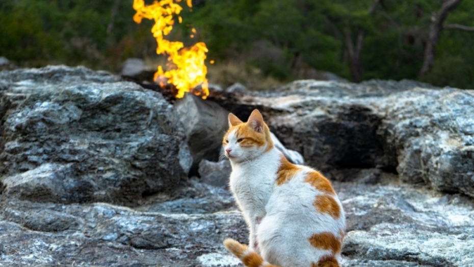Mount Chimaera, planina Himara, turska, večiti plamen