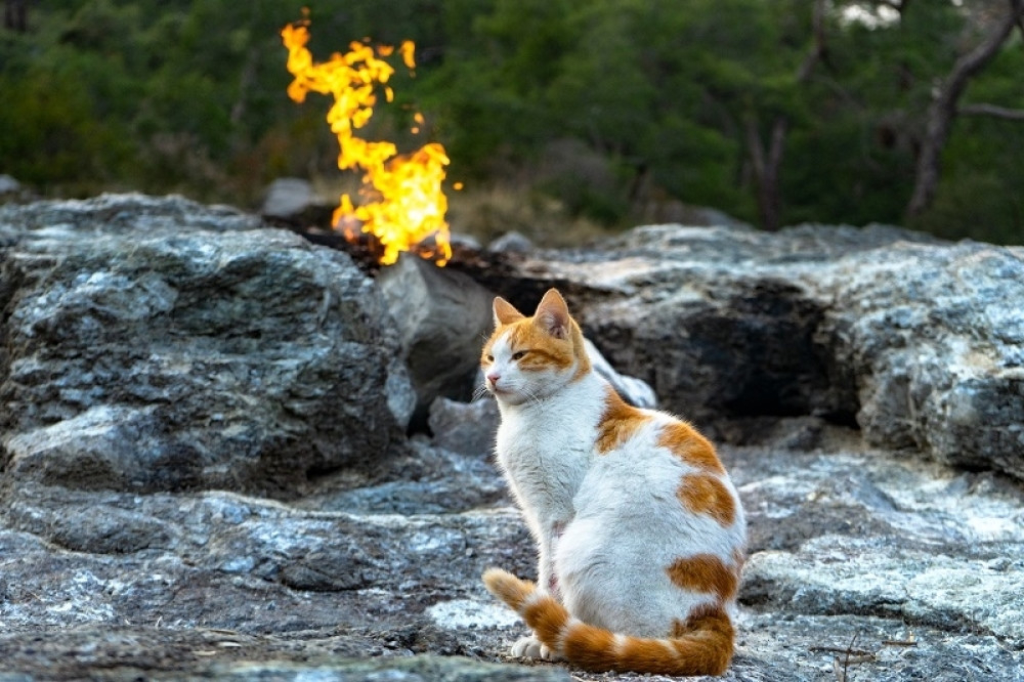 Mount Chimaera, planina Himara, turska, večiti plamen