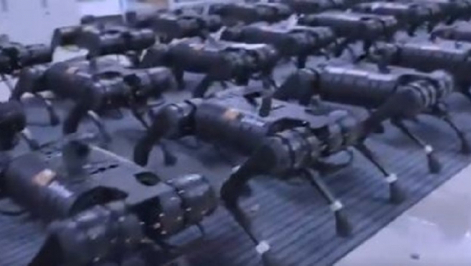 roboti, psi roboti, tehnologija