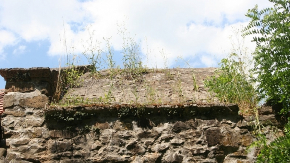 Manastir Vavedenje, Ljig