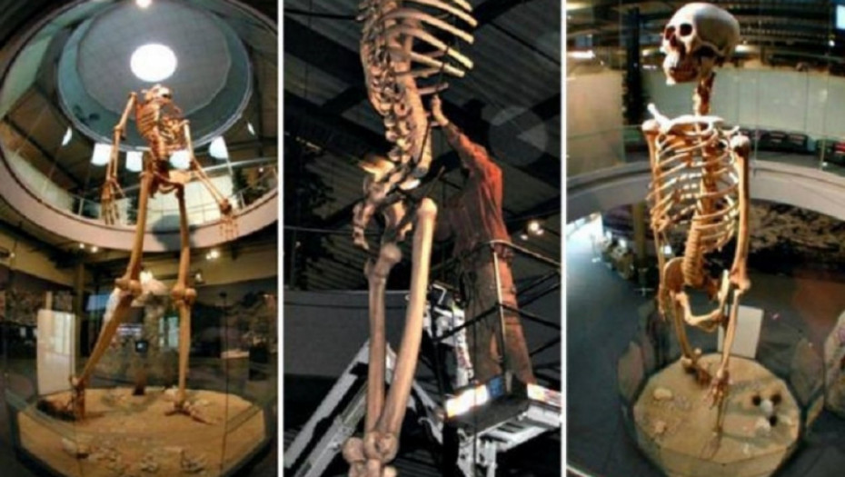 div, ekvador, istorija