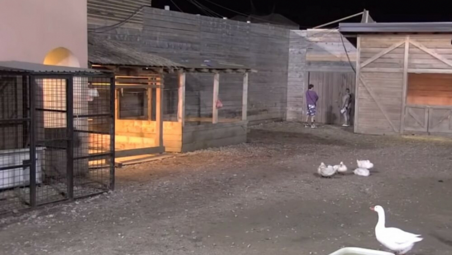 Kristijan Golubović