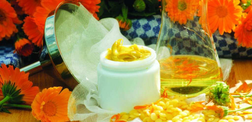 Impresivna lekovita svojstva nevena: Evo koja oboljenja leči ova čudesna biljka!