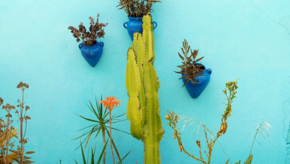 Huskar, GRAD STRUNFOVA, STRUNFOVI