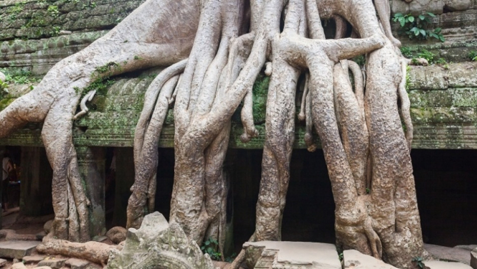 Ta Prom, Kambodža, napušteni grad, istorija